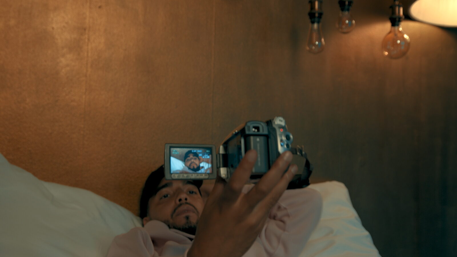 Lion – Dawill - Still 9